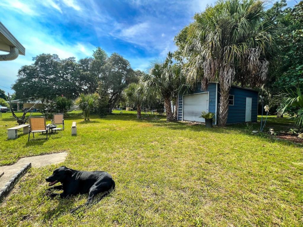House Of Shells, Beautiful Garden, Fenced Yard, Dog Friendly, Fire Pit! Villa Crystal River Kültér fotó