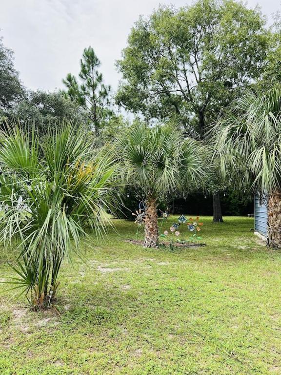 House Of Shells, Beautiful Garden, Fenced Yard, Dog Friendly, Fire Pit! Villa Crystal River Kültér fotó
